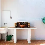 Live Con Terazza Holiday home
